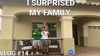 I SURPRISED MY FAMILY (Vlog #15)