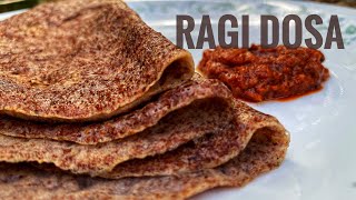 റാഗി/പഞ്ഞപ്പുല്ല് ദോശ | Healthy RAGI DOSA Recipe| Fermented Finger Millet Dosa for Gut Health