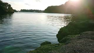 【夕暮れの静かな海　三浦市油壷湾】ほとんど波のない穏やかな海の風景