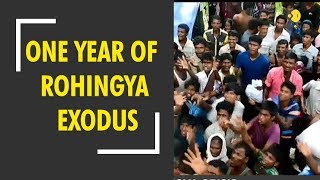 One year of Rohingya Exodus