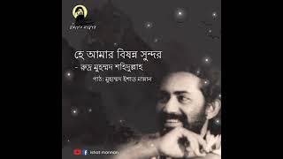 রুদ্র মুহম্মদ শহিদুল্লাহ কবিতা। হে আমার বিষন্ন সুন্দর। পাঠ: মুহাম্মদ ইশাত।