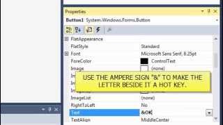 VISUAL BASIC VIDEO 6 CONTROLS BUTTONS LABELS AND TEXTBOXES