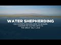 Water Shepherding: USU Experts Discuss How to Ensure Conserved Water Gets to the Great Salt Lake