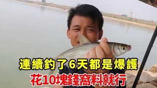 這是我見過最牛的魚窩，連續釣了6天都是爆護，花10塊錢窩料就行【石頭秀】