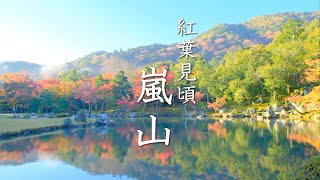 Kyoto] Arashiyama: A 3-hour early-morning tour of Arashiyama with its spectacular autumn foliage