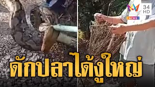 หนุ่มดักปลาหวังทำอาหาร ผงะได้เหลือม 4 เมตร | ข่าวอรุณอมรินทร์ | 13/11/67