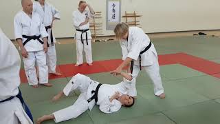 Vanda Fairchild 5th Dan - Shodokan Kyu Grade Syllabus