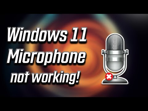 Fix Microphone Not Working on Windows 11 [2024]