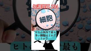 知識問題 104（体内で最多の細胞）解答・解説あり #Translation：ver.English#Knowledge Question 104  (most prevalent in the ~)