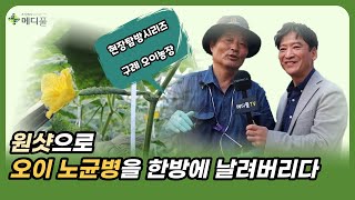 [메디풀TV 현장탐방시리즈] 구례 오이농장을 찾아서