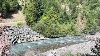 @TrinaMason September 19 2024 12:53pm Acme Washington beautiful rushing river hiking adventure life