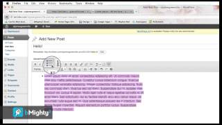 Wordpress 101 Part 4.1 - Creating a New Post