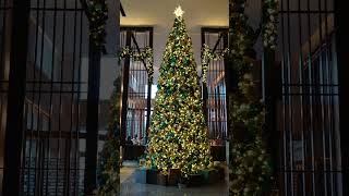 香港クリスマス🎄HongKong Christmas セントレジス ホテル St.Regis Hotel Lobby,a beautiful Christmas tree with bears