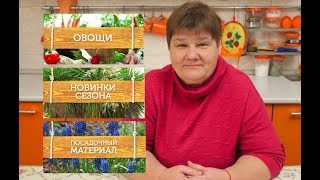 Где Еще Я Буду Покупать Семена? Открываю Тайну.