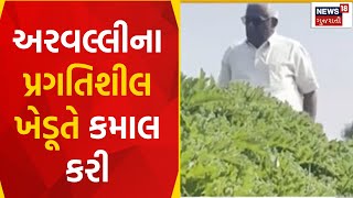 Aravalli News : અરવલ્લીના પ્રગતિશીલ ખેડૂતે કમાલ કરી | Agriculture News | Gujarati Samachar | News18