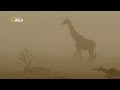 os desertos da namíbia no sul da África documentário completo em hd