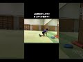 【上級トレ】体幹ローラーのポールver トレーニング動画 体操選手 体操女子