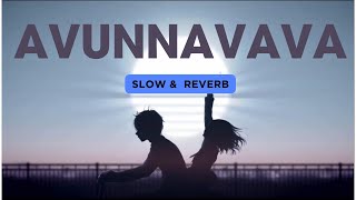 Avunannava Slow  & Reverb | From Om Bheem bush
