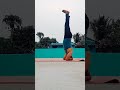 GREAT  VARIATION FROM SIRSASANA TO PADMA SIRSASANA 🌹🌹 AMAZING YOGA 🌹🌹🌹🌹🌹🌹🌹🌹