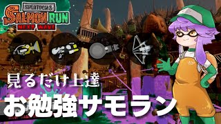 【サーモンランNW】見るだけ上達\