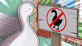 No Goose Zone