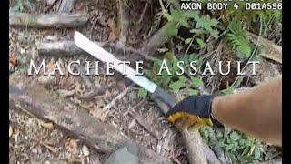 On Patrol: Machete Assault #police #cops
