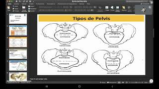 CLASE 8 - OBSTETRICIA - PELVIMETRIA