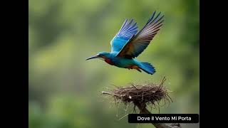 Dove il Vento Mi Porta - Italian