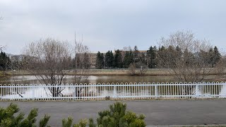 北海道札幌市北区にある、あいの里公園に来ております。