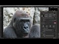 Sharpen & Reduce Noise in On1 Photo RAW 2020