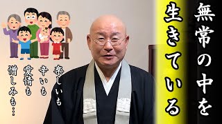 法話『無常に生きる』とは？ 真宗大谷派僧侶 高科 修 師