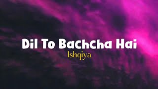 Dil Toh Bachcha Hai - Lyrical Video