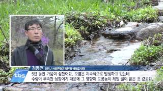 [tbstv] 말라버린 백사실 계곡, 탐방 자제해야