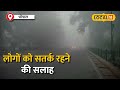 mp weather update madhya pradesh में जारी सर्दी का सितम bhopal और jabalpur में घना कोहरा local18