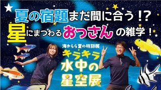 【ぱーるしーちゃんねる】【海きらら】夏の宿題にまだ間に合う？！夏の特別展「キラキラ水中の星空展」を楽しもう！