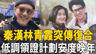 77歲秦漢與林青霞復合！低調領證計劃一起安度晚年，女兒一句話揭當年分手真相#秦漢 #林青霞 #茶娛飯後