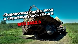 Раб. 25-ый день \