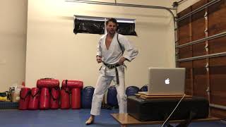 RESISTANCE BAND TRAINING: Video 1, Shane Dorfman Sensei 7th Dan, 8-time World Champion