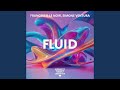Fluid (Radio edit)