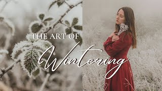 The Art of Wintering - Joys of Living Seasonally ❄️ ✨ Slow Living \u0026 Cozy Start of January 2025