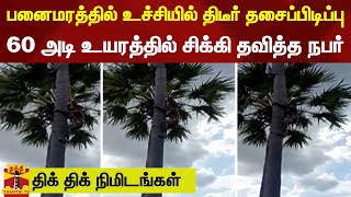 பனைமரத்தில் உச்சியில் திடீர் தசைப்பிடிப்பு - 60 அடி உயரத்தில் சிக்கி தவித்த நபர்