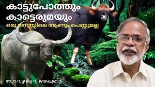 കാട്ടുപോത്തും കാട്ടെരുമയും Gaur and Wildwater buffalo #wildlife #waterbuffalo #humananimalconflict