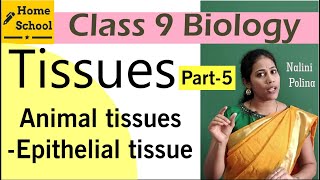 Tissues class 9 Biology Part-5