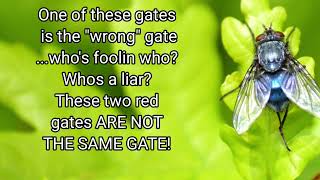 Andy And Fred's Red Gates Don't Match! Who's The Liar? #missinggirl