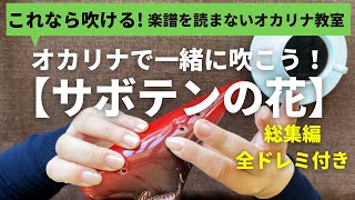 サボテンの花を通して吹いてみよう！楽譜を読まずに吹ける/オカリナ/初心者/指使いからわかりやすく解説