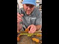 DAN-O-Myte Jalapeno Poppers!