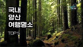 [여기어디야] 국내 양산 여행명소 TOP5 #양산가볼만한곳