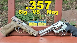 .357 Magnum VS .357 Sig - Which is Better? Buffalo Bore - Barnes