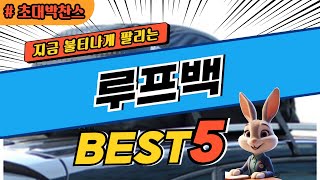 2024 초대박 찬스 루프백 추천 대박 가성비 베스트5! 후기 비교