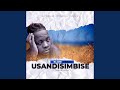 Usandisimbise